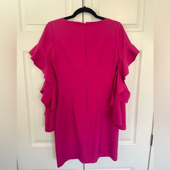 Badgley Mischka Belle Pink Ruffle Bell Sleeves V-Neck Cocktail Dress Size 2 - Picture 5 of 10